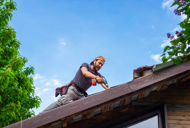 Best Skylight Installation and Repair  in Forest Hills, MI