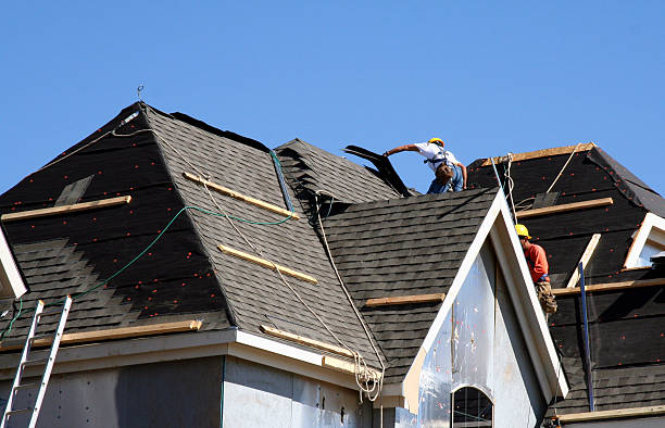 Best Roof Moss and Algae Removal  in Forest Hills, MI